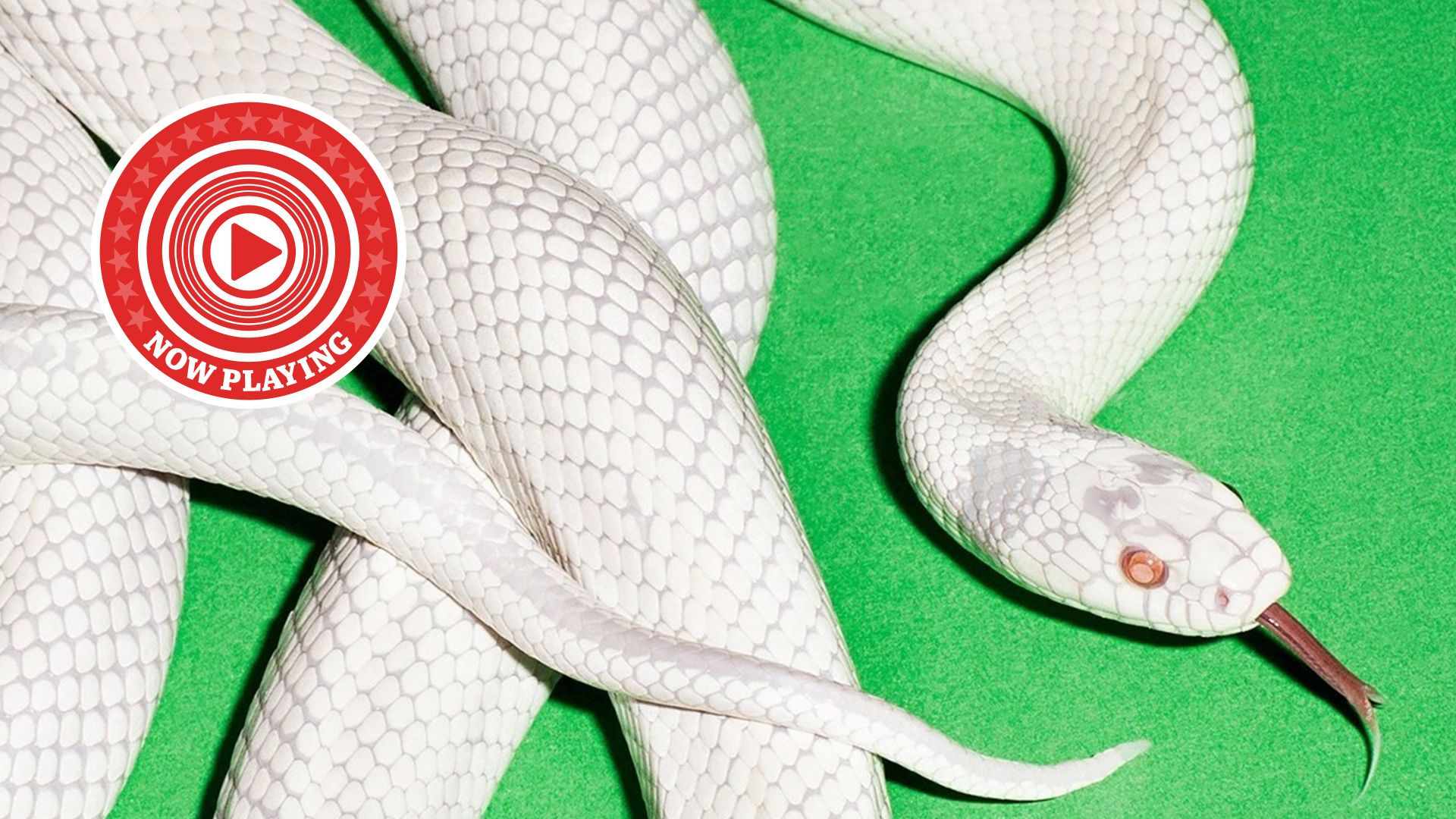 Deftones' My Mind Is A Mountain album cover with the WHF Now Playing roundel