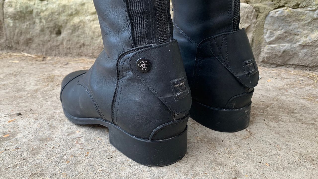 Ariat Palisade heels