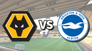 The Wolverhampton Wanderers and Brighton & Hove Albion club badges on top of a photo of Molineux stadium in Wolverhampton, England