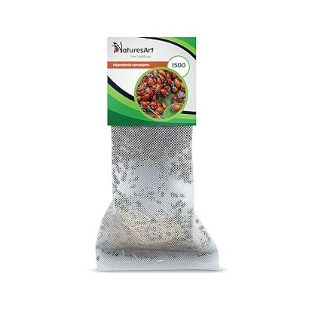 A back of 3,000 live ladybugs