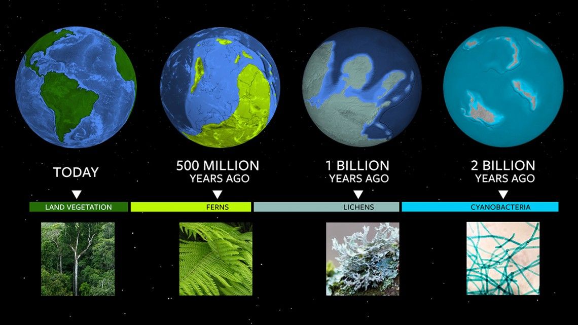 To understand where exoplanets are in their own evolution, astronomers can use Earth’s biological milestones as a Rosetta stone.