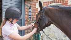 One in four horse owners are using bits that don&rsquo;t fit their horse, a new study has found