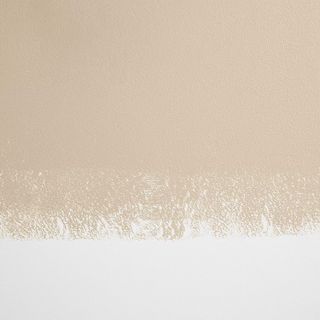 Neutral colored paint swatch