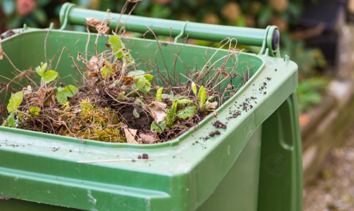 5 clever alternatives for disposing of yard waste at home | Tom's Guide