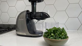 The Amzchef Slow Juicer ZM1501 with a bowl of kale ready to be juiced