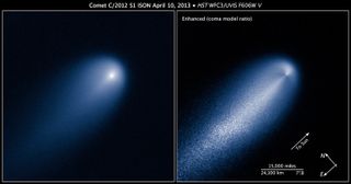 Hubble's Views of Comet ISON