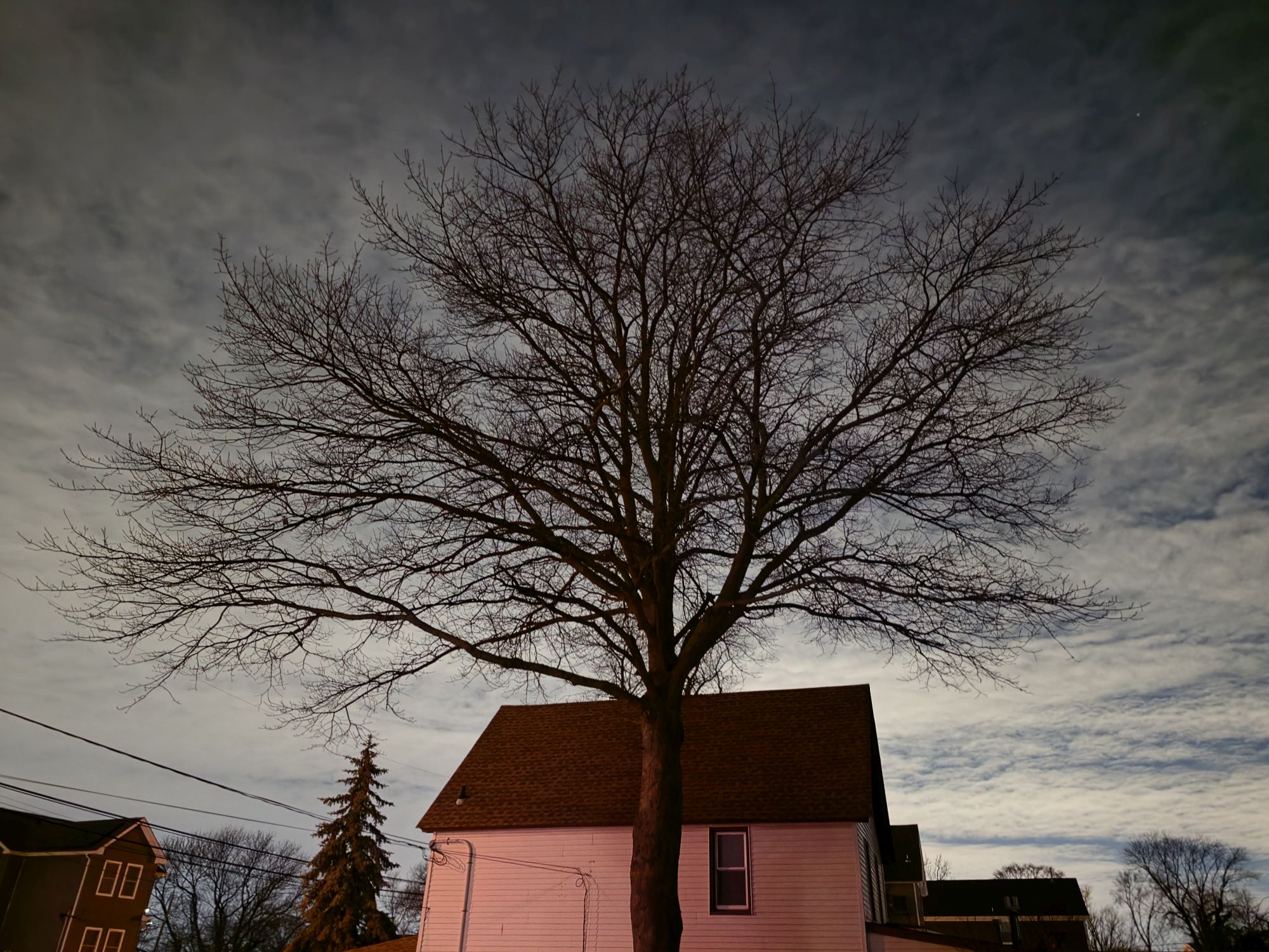 Samsung Galaxy S26 Ultra low light sample.