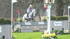 Frangible cross-country fences