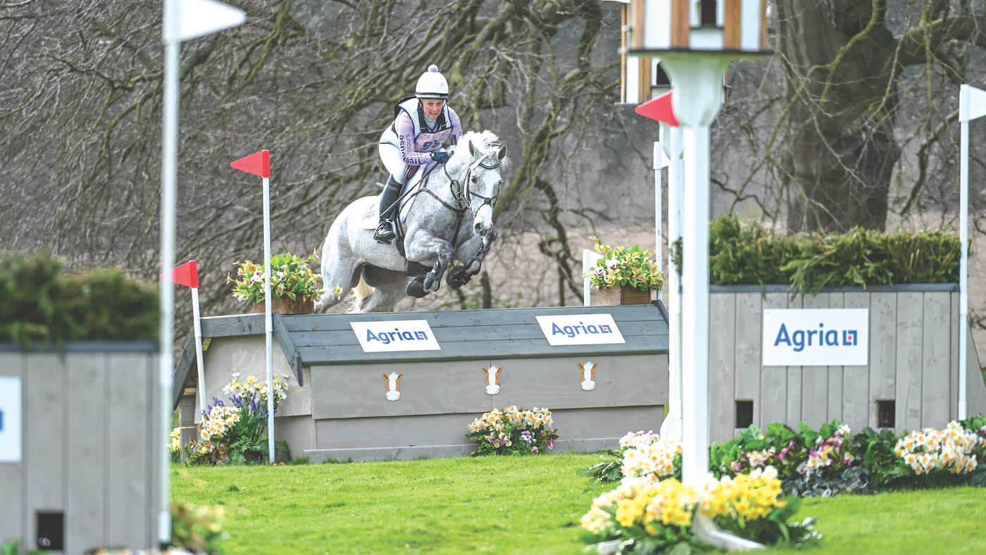 Frangible cross-country fences