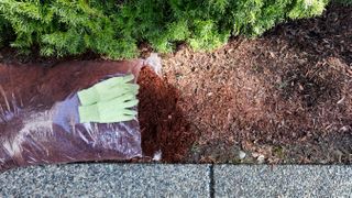 Replacing red bark mulch with a fresh bag with gloves on top of the bag