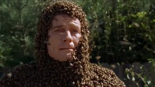 bees bryan cranston malcolm in the middle