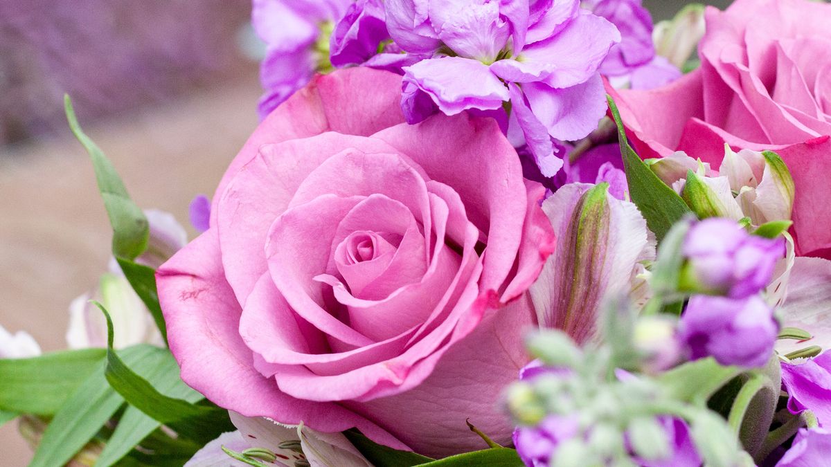 Valentine's Day flowers