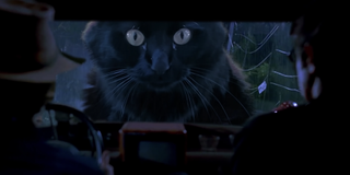 Jurassic Park cat deepfake