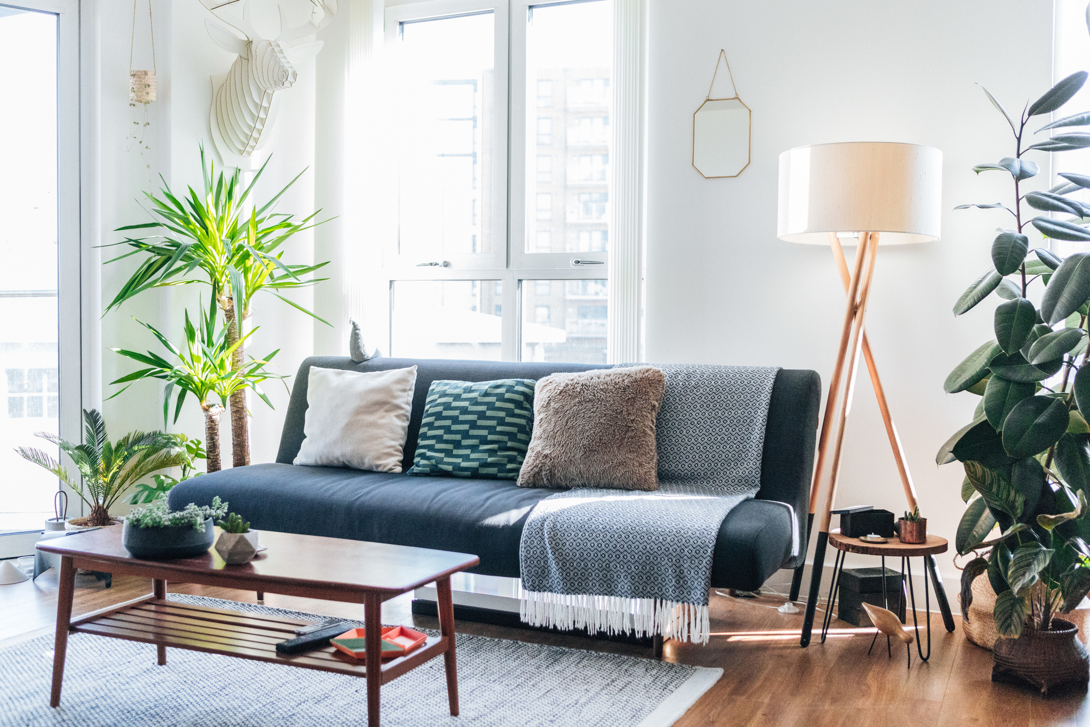 area rug in bohemian modern living room