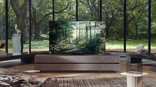 Samsung QN900A sitting on TV unit with forest backdrop