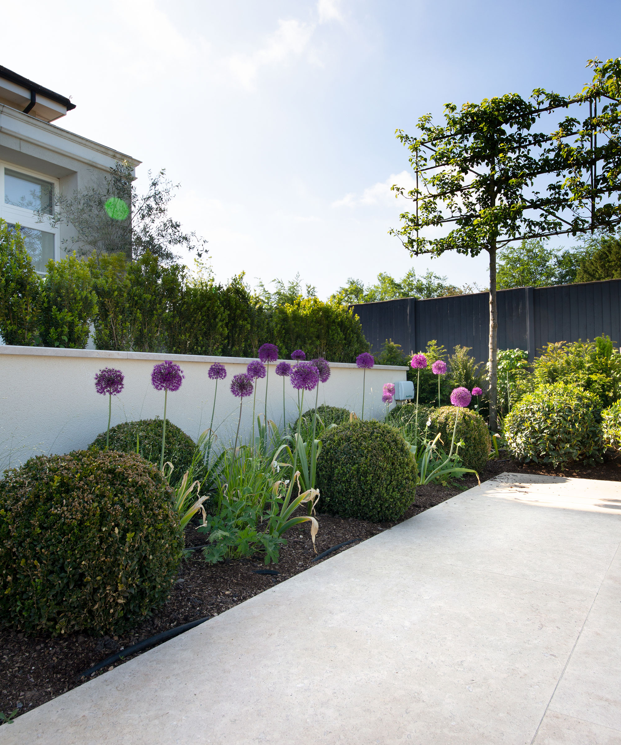 How to make a small garden look bigger: 8 easy ways to maximize space