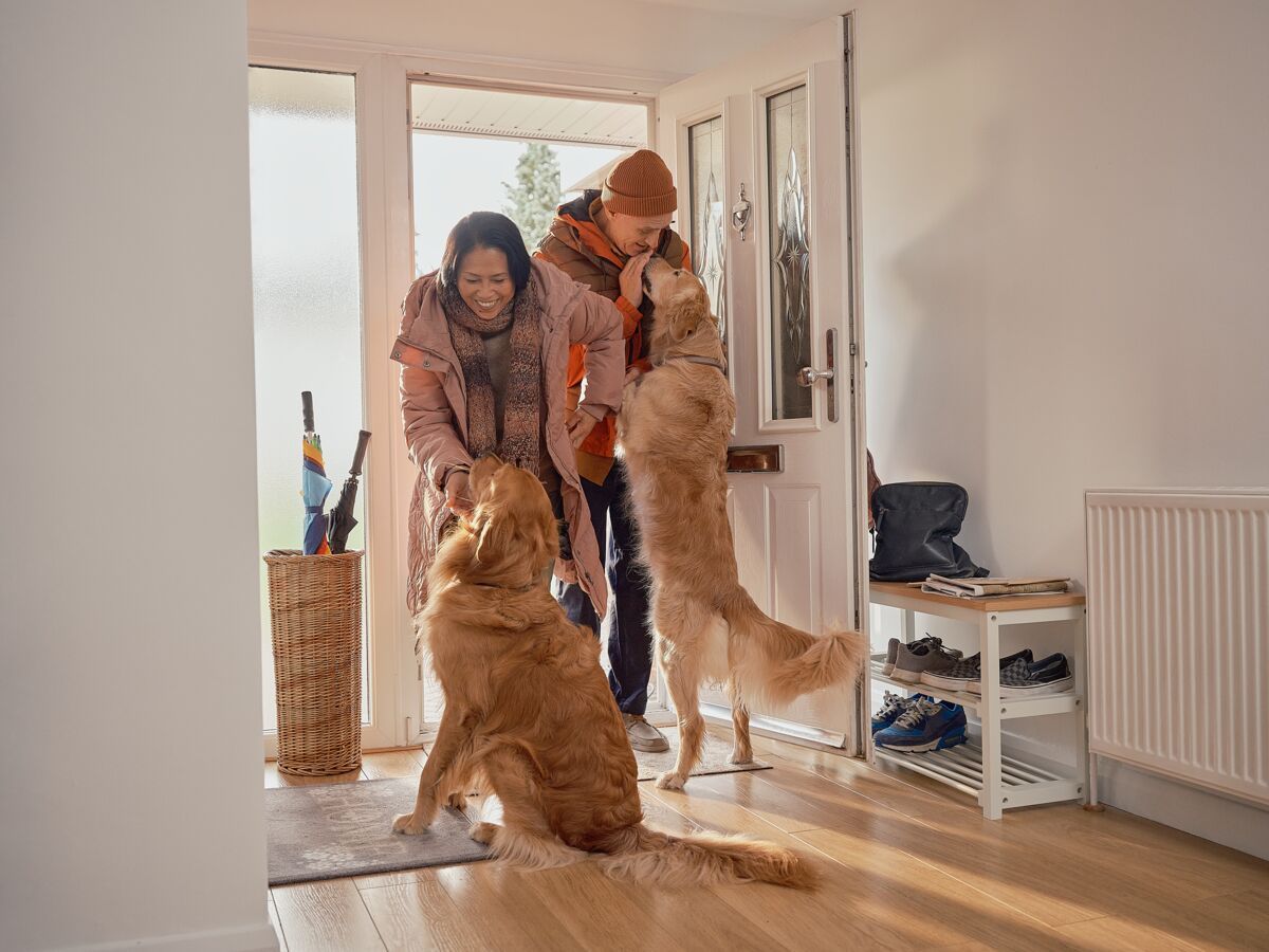 couple with dogs