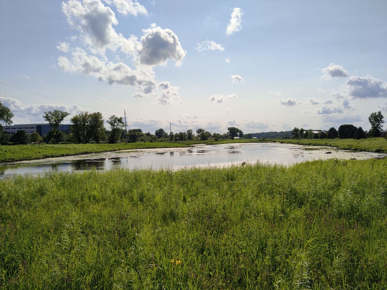 TCL 20 Pro 5G camera samples