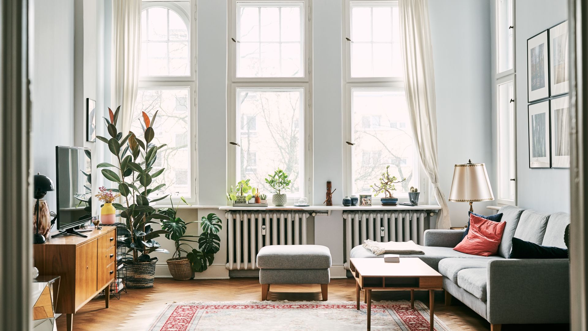 living room with trio of windows and grey sofa