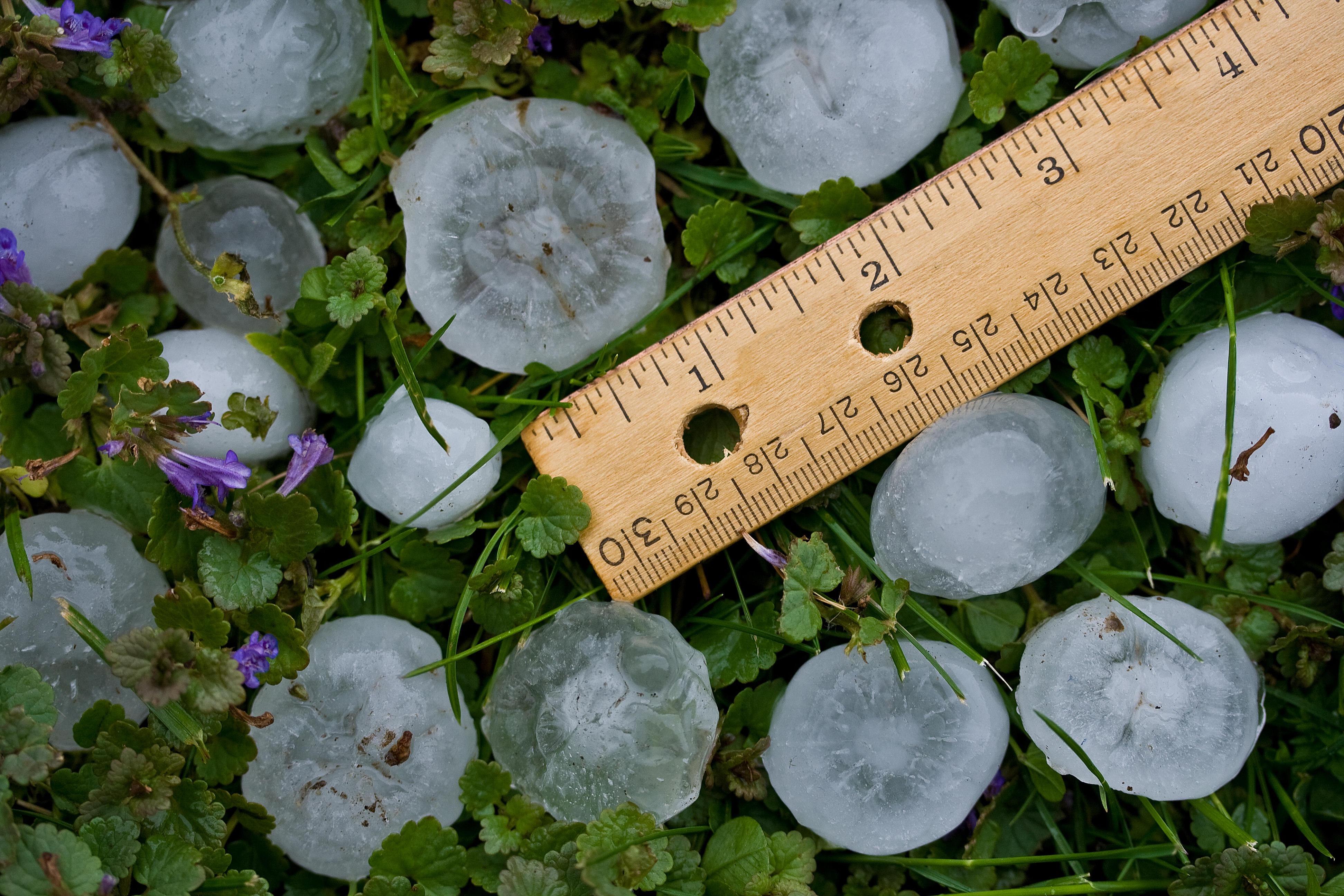 Hailstones after a severe summer storm in England in 2017