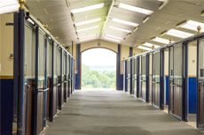 There is much choice in horse stables design, including whether to choose internal boxes as pictured here