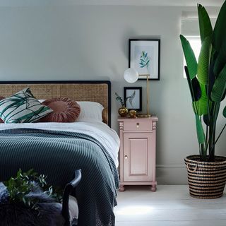 bedroom with white wall bed and potted plant