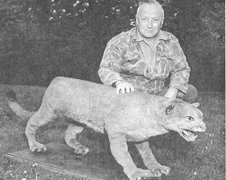 Bruce Wright, a New Brunswick, Canada wildlife biologist and author, with what is believed to be the last eastern puma. The puma was trapped in Maine in 1938 by a Canadian national. The preserved specimen resides in the New Brunswick Museum.