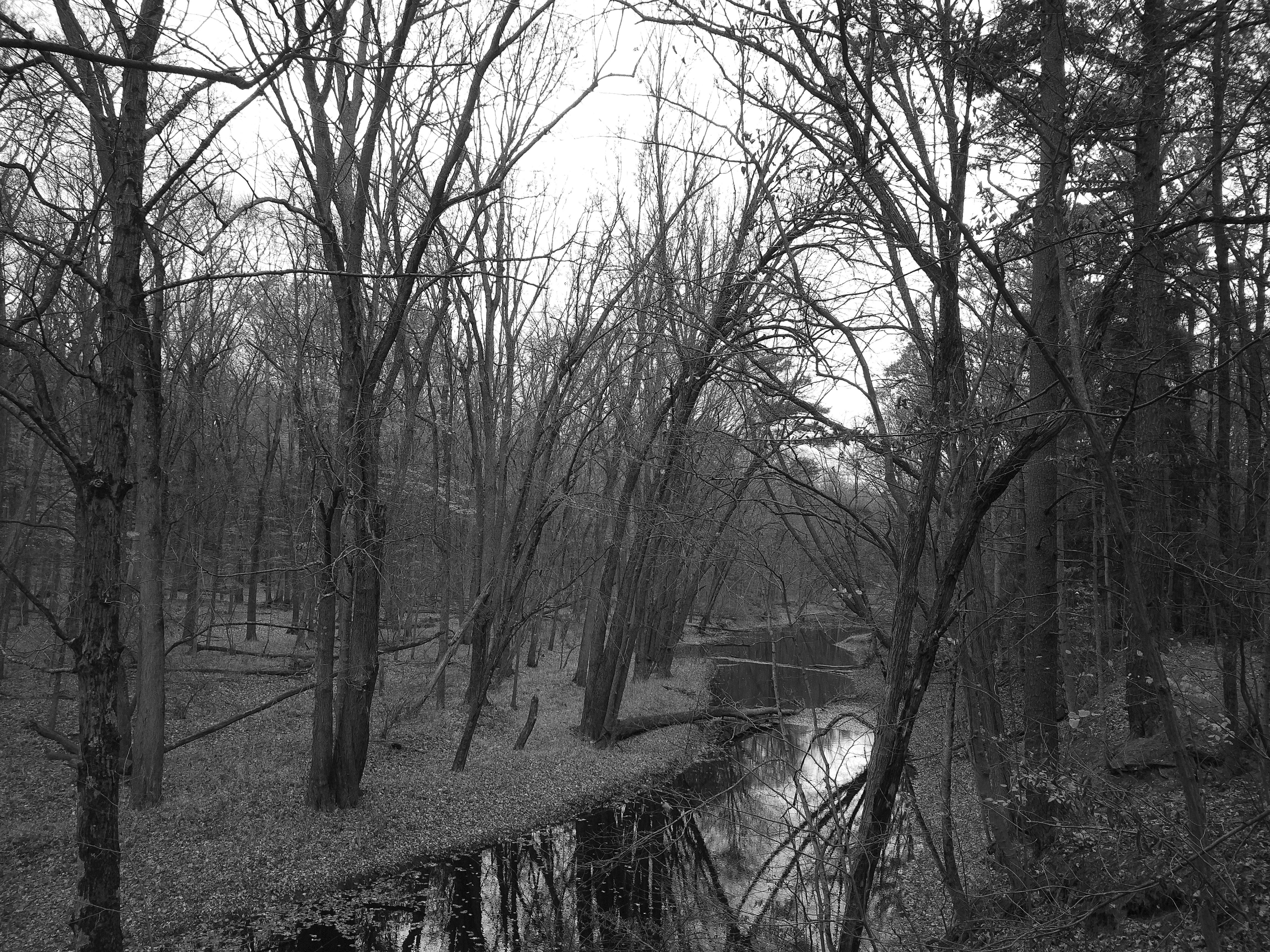 A sample image taken with the Camp Snap CS-Pro