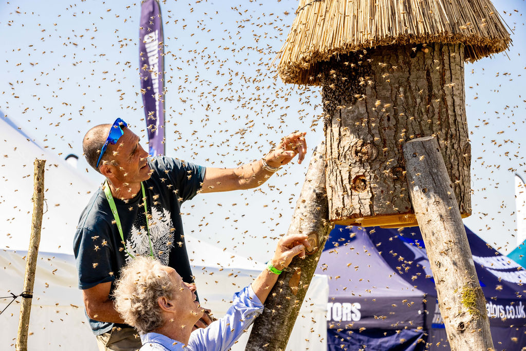 Two men inspect a swarm of bees near their hive
