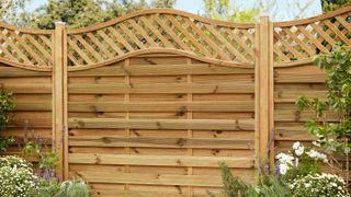 wooden fencing with curved trellis on top