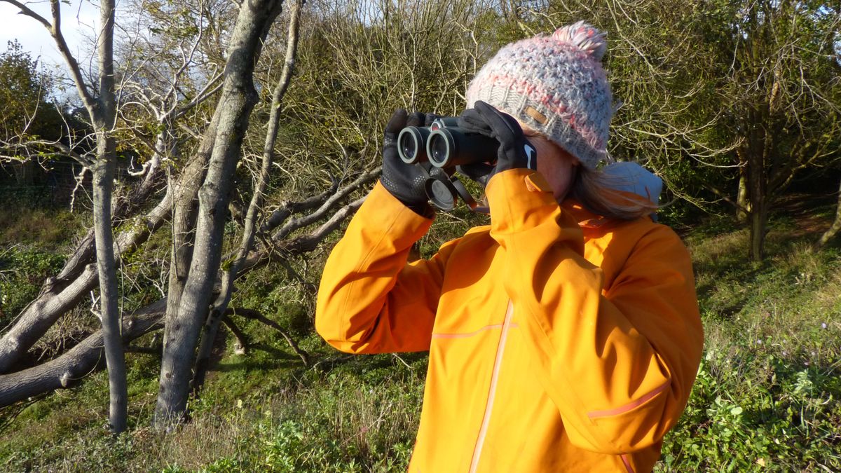 how to use binoculars: checking stuff out with binoculars