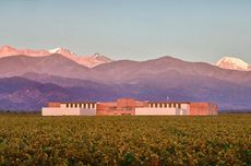 Rutini Wines