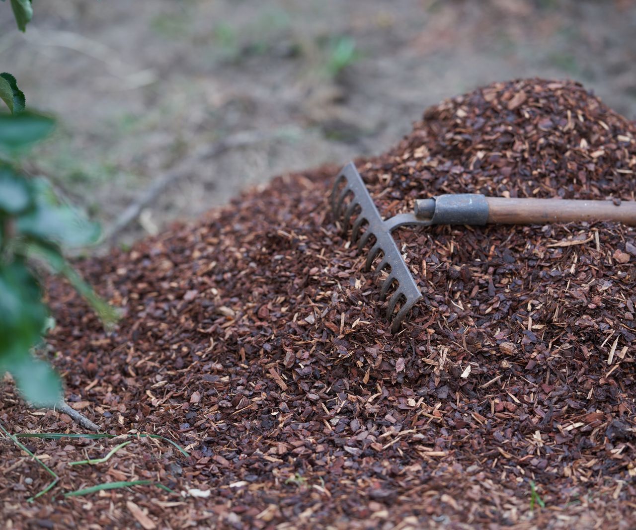 Can mulch catch fire? Expert tips to avoid the dangers Homes & Gardens