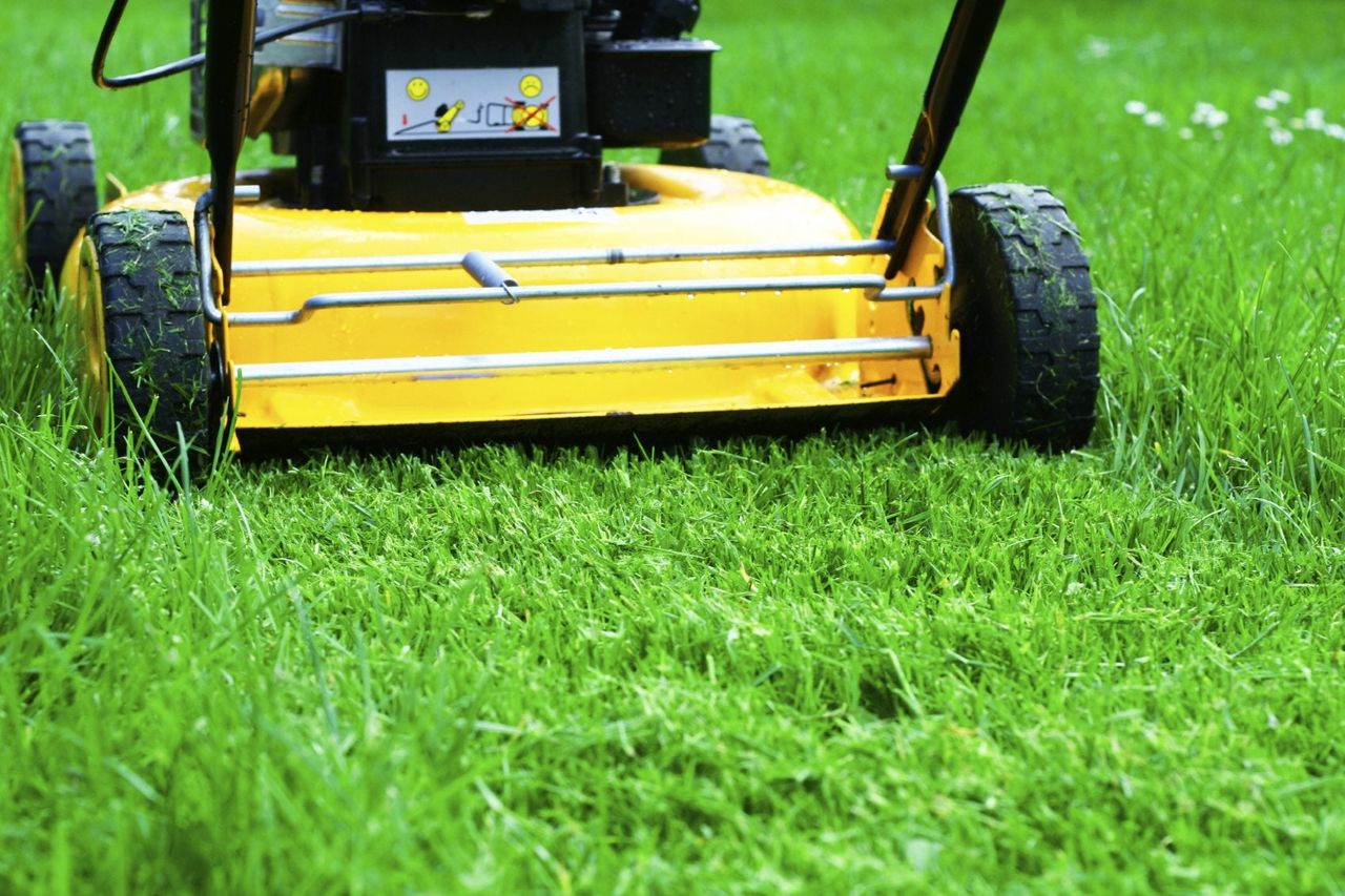 Lawn Mower Cutting Grass