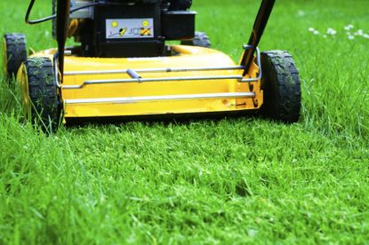 Lawn Mower Cutting Grass