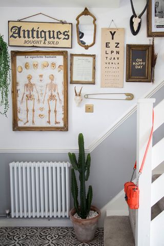 hallway with white wall cactus in pot and stair