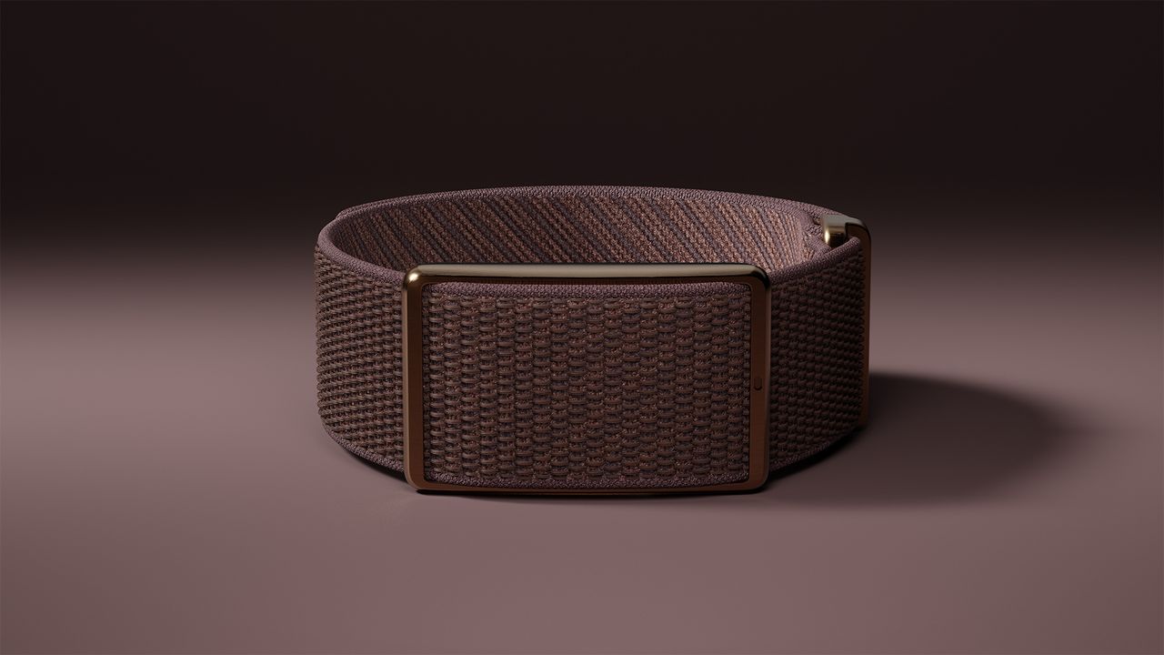 Polar Loop screenless wearable