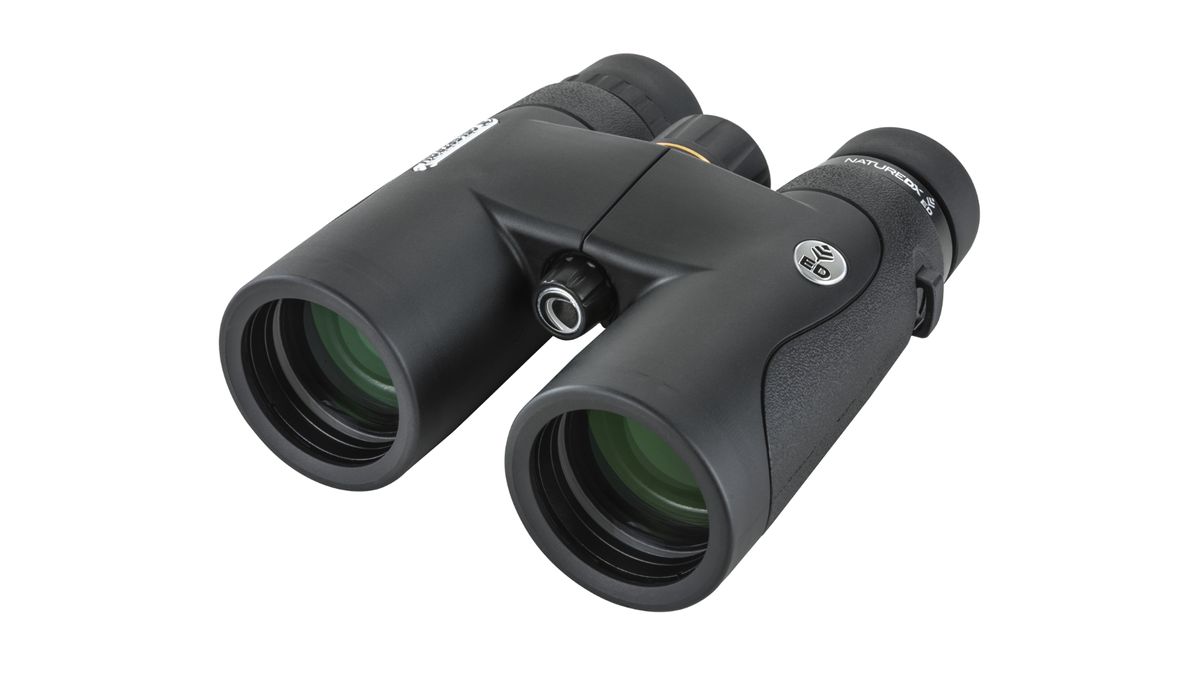 Celestron Nature DX ED 8x42 binoculars review: a worthy budget-friendly ...