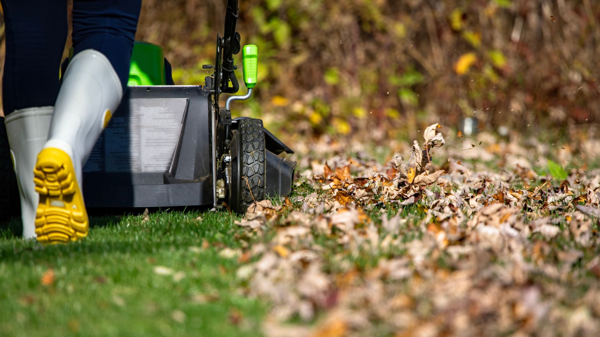 picture of woman mowing lawn over autumn leaves