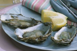 1. Oysters