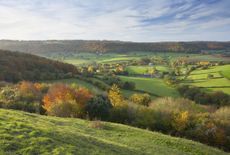 Rough around the edges: A healthy countryside is not a neat one.