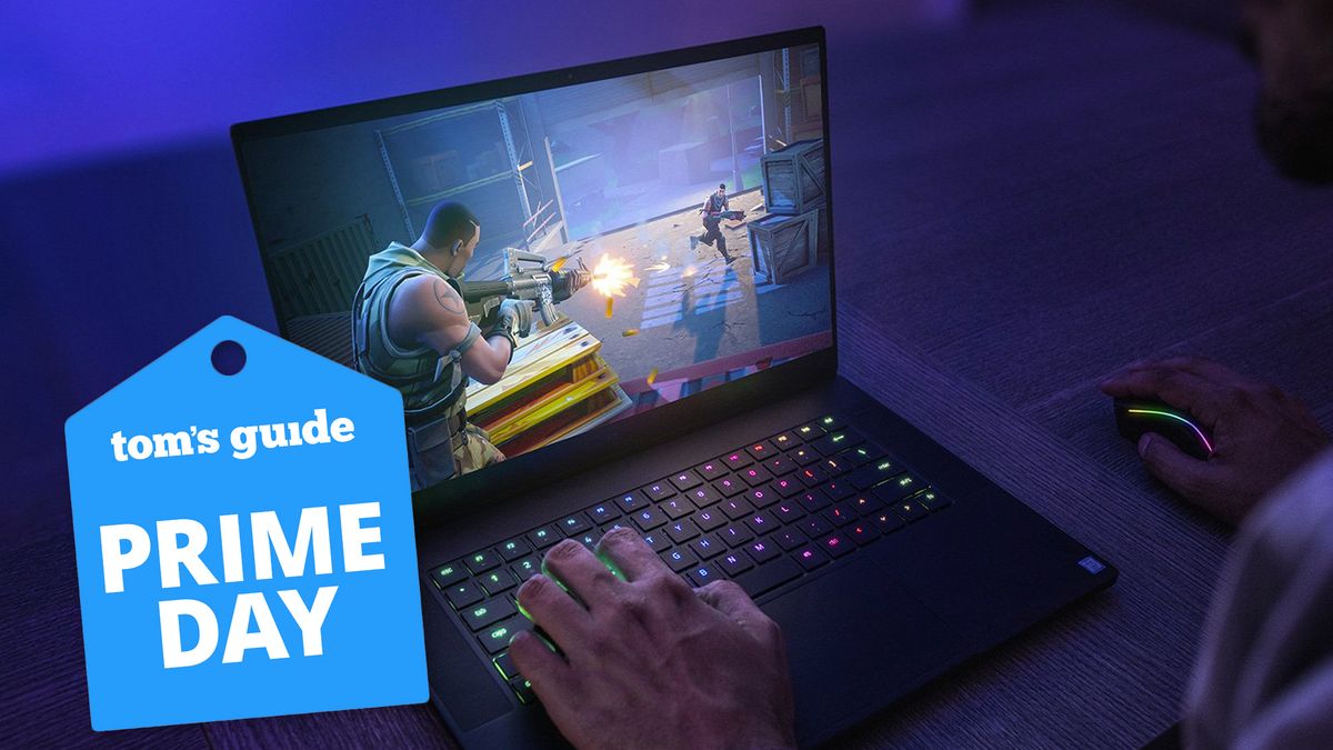 Razer Blade 15 base