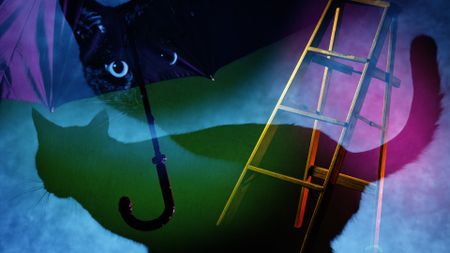 A collage of things that include bad luck, including black cats, open umbrellas, and ladders