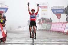 Demi Vollering celebrates victory at the summit of the Cotobello pass