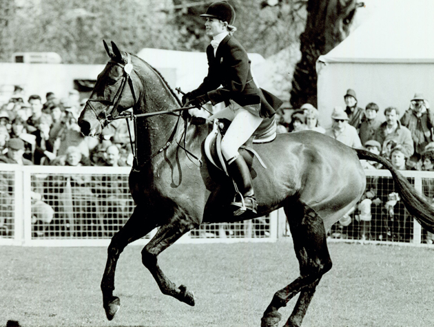 QUIZ GINNY ELLIOT
