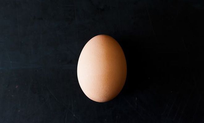 Egg