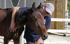 Joanne-Vaughan-and-Twiglet-22.jpg