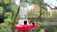 Birdfy Hum Feeder Duo