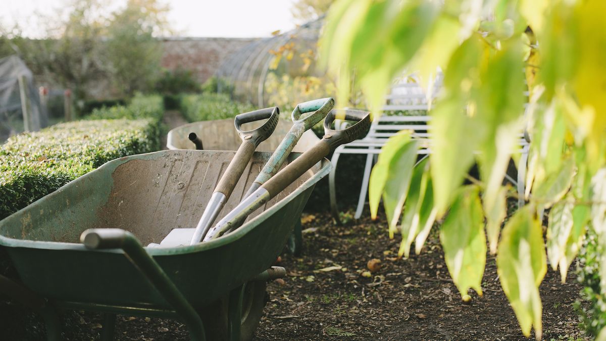 Préparez-vous aux prévisions du printemps 2024 du Farmers' Almanac avec les conseils d'experts des jardiniers