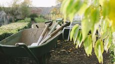 Gardening tools in a wheelbarrow in a garden with low hedges on left and blurry out of focus leaves in right hand front aspect